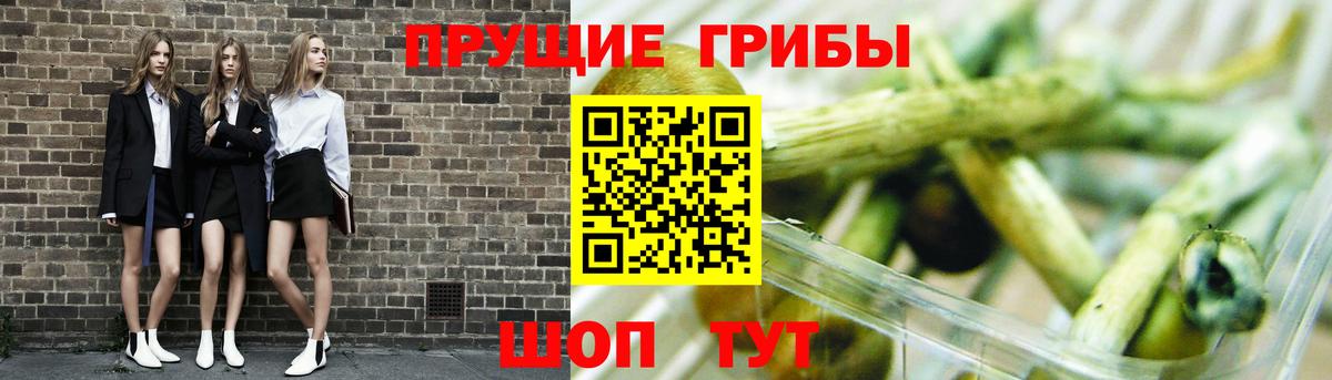 Галлюциногенные грибы мицелий  Вход с VPN  Кумертау  Галлюциногенные грибы прущие грибы 
